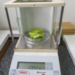 4.-Kvalitet-svjetlosti