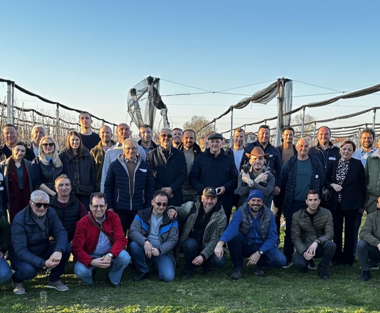 unapređenje savremene proizvodnje jabuke